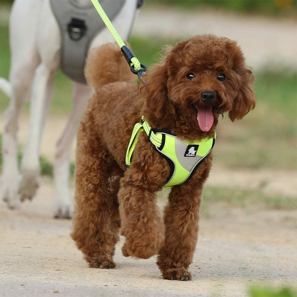 Dog Harness TLH5991 anti Pull Safety Vest Step-In Style Harness for More Comfort and Less Tug Reflective Pet Harness by Truelove