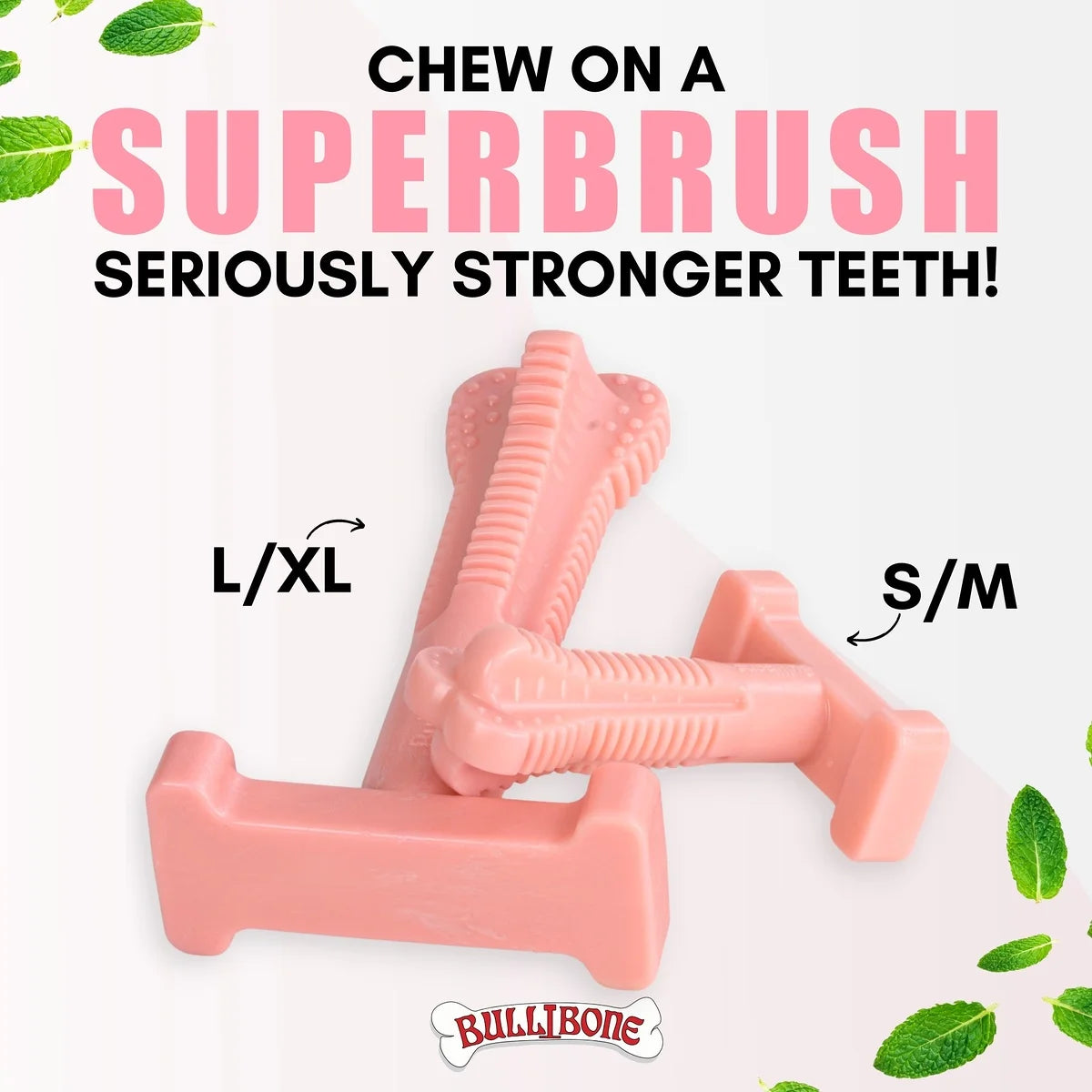 Peppermint Superbrush Chew Dog Toy, Single Pack