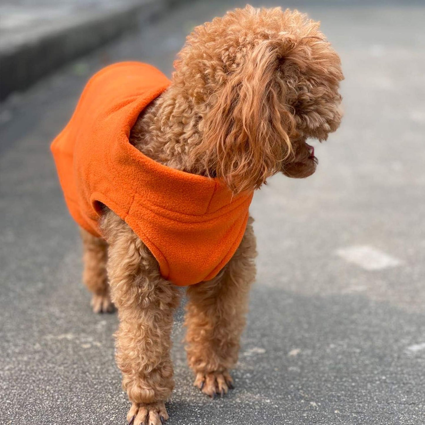 Dog Winter Vest Warm Breathable Dog Polar Fleece Vest Jacket, Lightweight Winter Coat with Leash Neck Hole for Small Medium Large Dogs Orange M