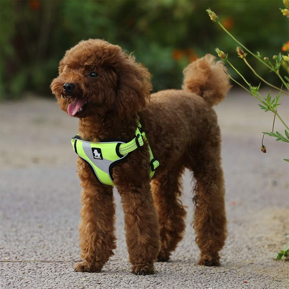 Dog Harness TLH5991 anti Pull Safety Vest Step-In Style Harness for More Comfort and Less Tug Reflective Pet Harness by Truelove