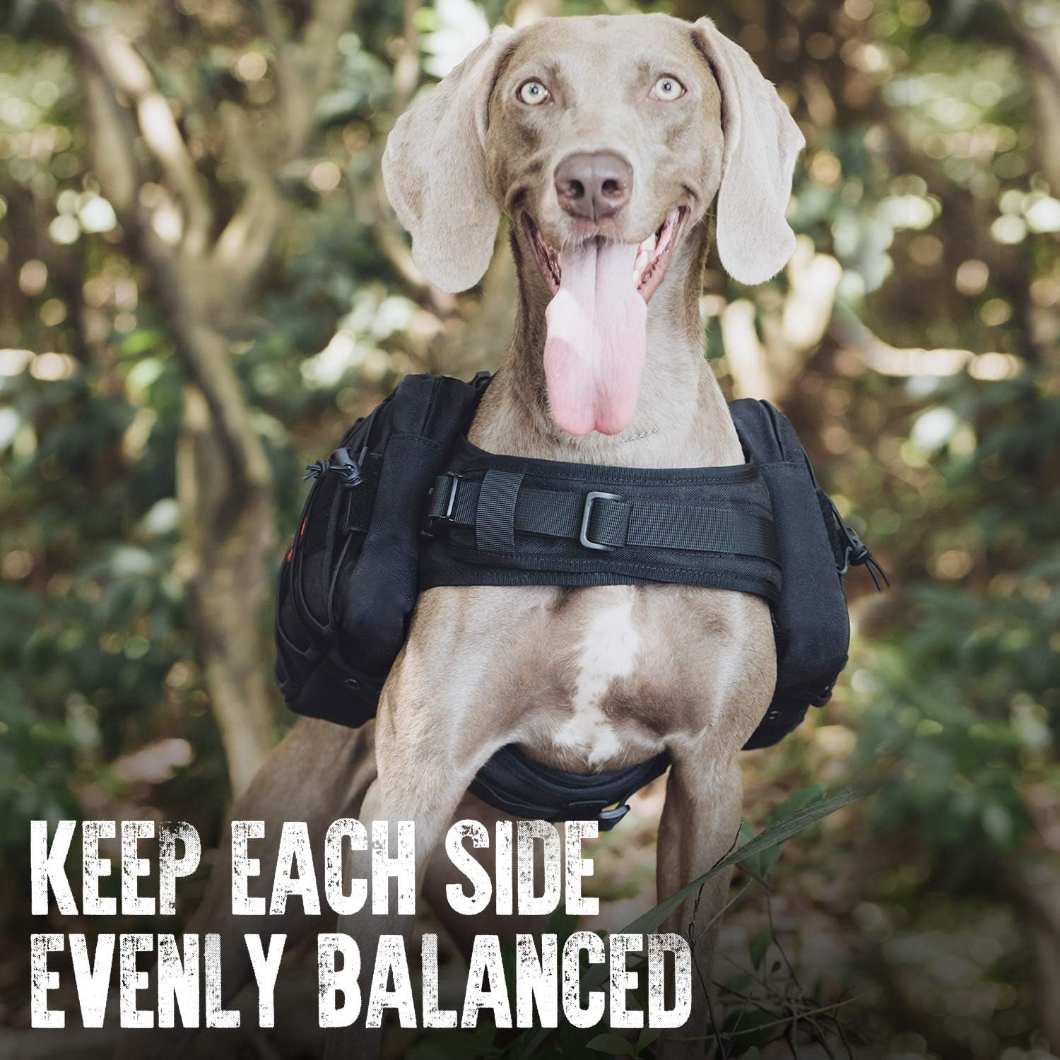 TrekPaw™ Tactical Dog Backpack – Hiking Saddle Bag for Medium & Large Dogs (Black)