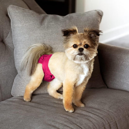 Premium Washable Dog Diapers & Extendrs, (3Pack) of Female Dog Diapers & Dog Diapers Male (X-Small, Princess)