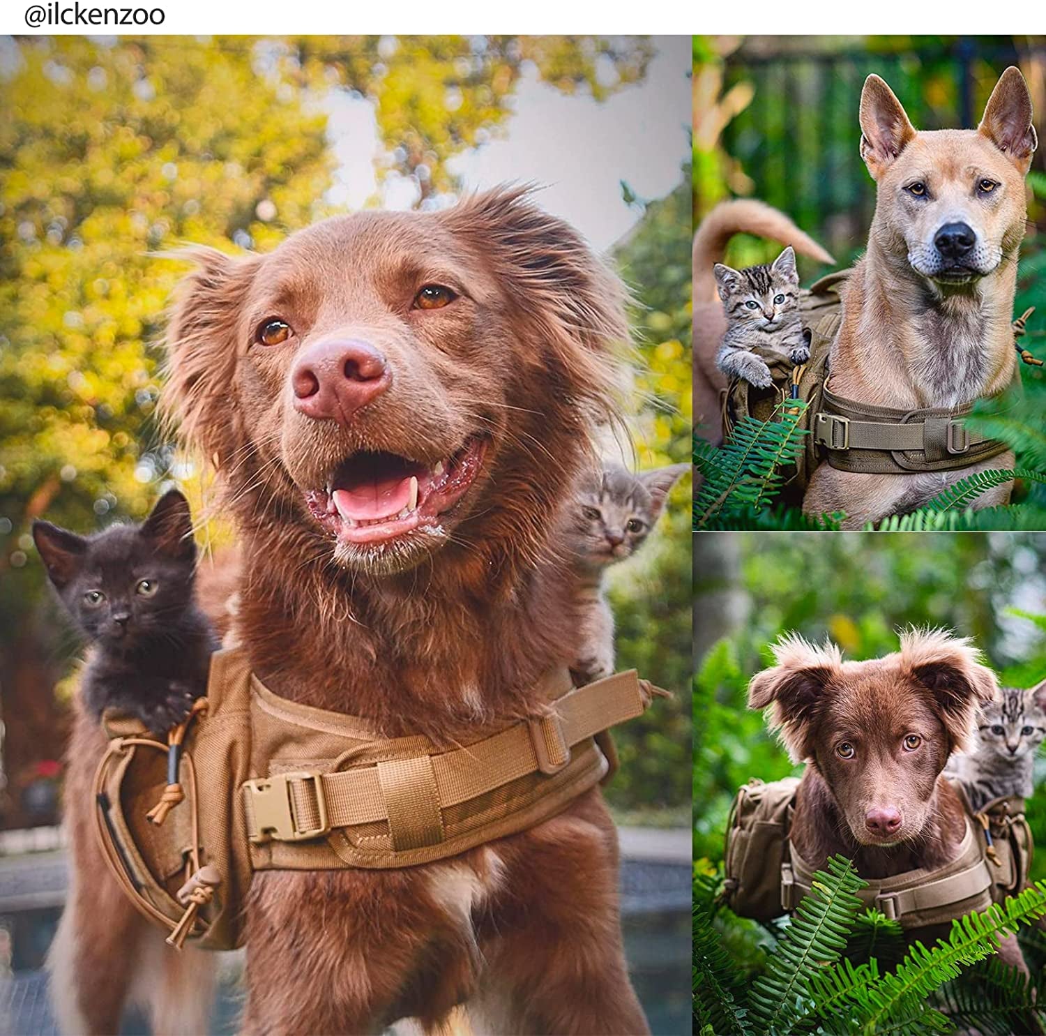 TrekPaw™ Tactical Dog Backpack – Hiking Saddle Bag for Medium & Large Dogs (Black)