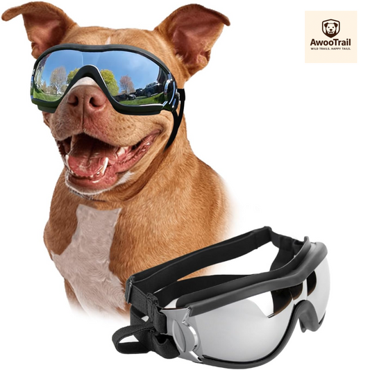TrekPaw™ Dog Adventure Goggles | Free Shipping