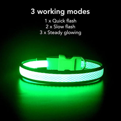 Light up Dog Collar, USB Rechargeable LED Puppy Collar Super Bright Adjustable Glowing Dog Lights for Night Walking (Green, Small)