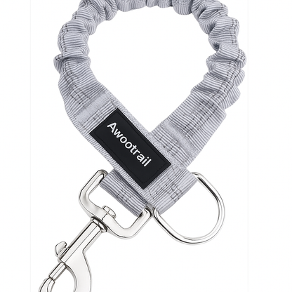 Dog Leash Extender – Shock Absorbing Bungee Attachment for Safer Walks