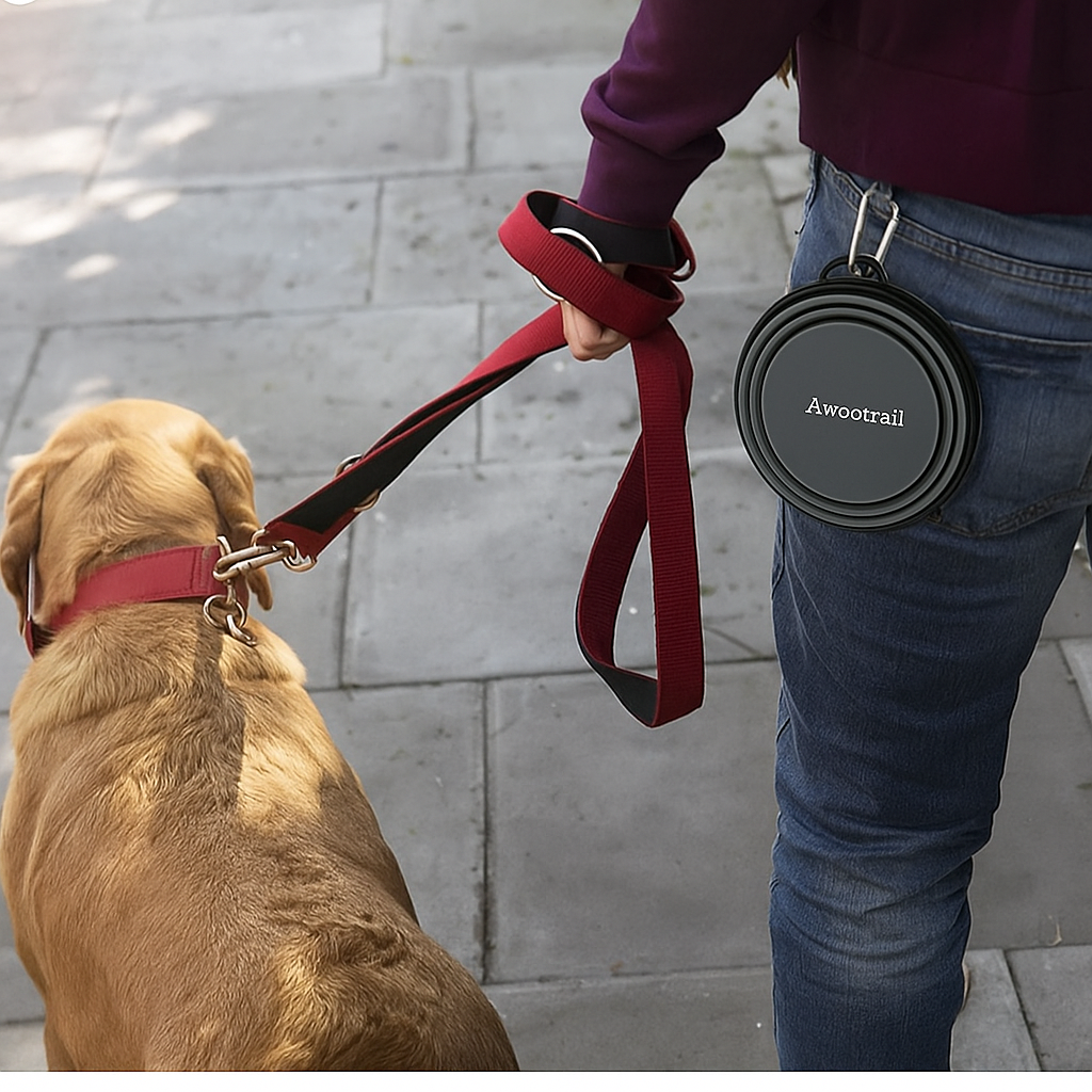 Collapsible Dog Bowls for Travel (2-Pack)