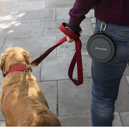 Collapsible Dog Bowls for Travel (2-Pack)