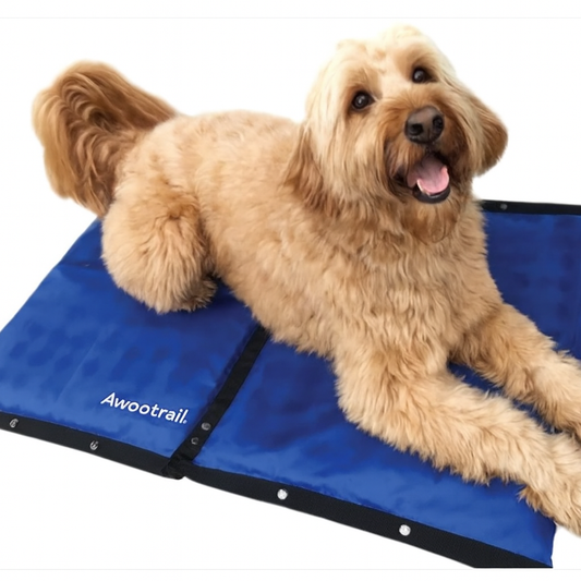Dog Cooling Pad – Hydro Cooling Mat for Long-Lasting Pet Comfort