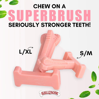 Peppermint Superbrush Chew Dog Toy, Single Pack