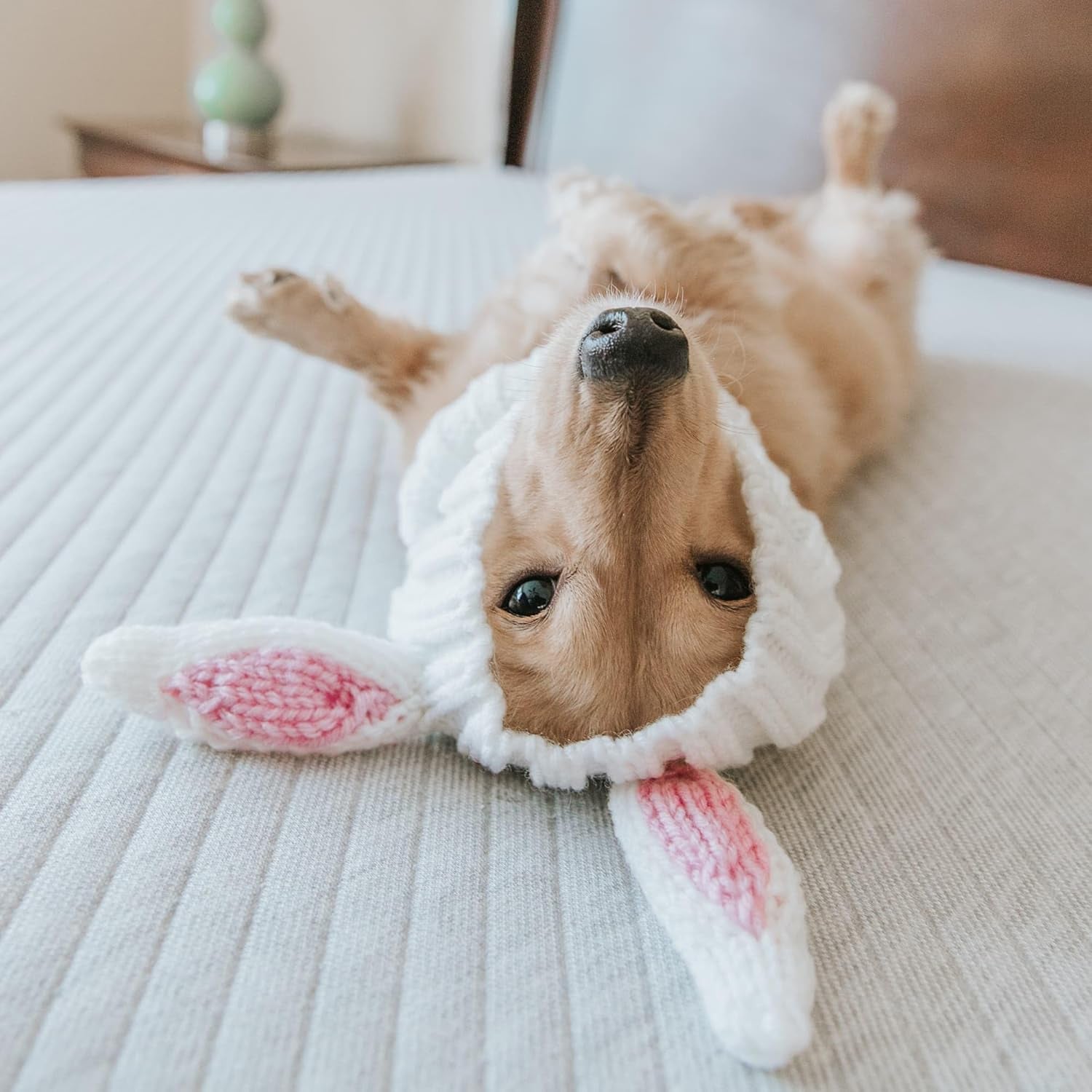 Bunny Costume - Knit Easter Dog Snood Ear Wrap for Pets, Warm Neck Cover for Halloween and Winter (Medium)