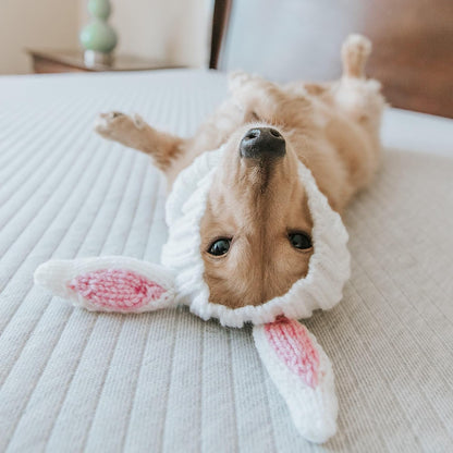 Bunny Costume - Knit Easter Dog Snood Ear Wrap for Pets, Warm Neck Cover for Halloween and Winter (Medium)