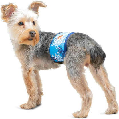 Male Dog Belly Band, Washable and Reusable, Global Tuga Blue, Small