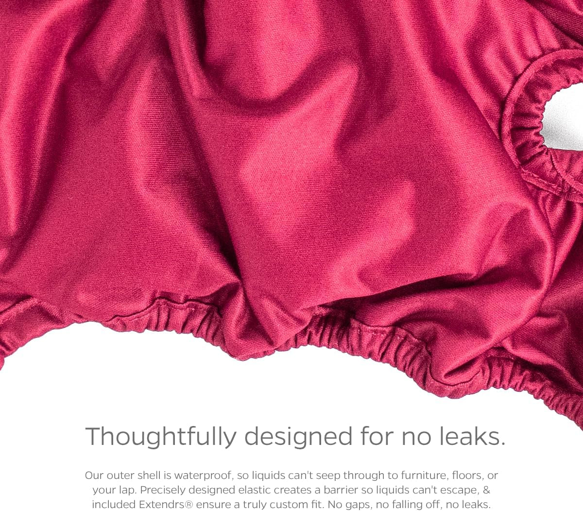 Premium Washable Dog Diapers & Extendrs, (3Pack) of Female Dog Diapers & Dog Diapers Male (X-Small, Princess)