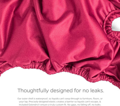 Premium Washable Dog Diapers & Extendrs, (3Pack) of Female Dog Diapers & Dog Diapers Male (X-Small, Princess)