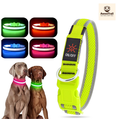 TrekPaw™ LED Hiking Dog Collar | Free Shipping