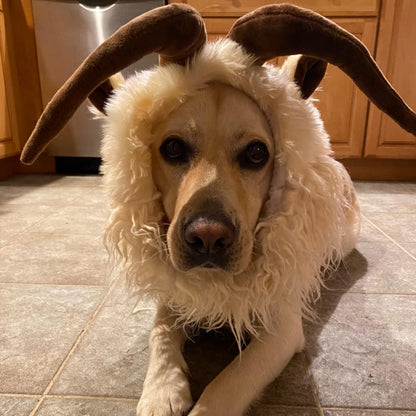 Funny Pet Reindeer Moose Costumes for Dog, Cute Furry Pet Wig for Halloween Christmas, Pet Clothing Accessories