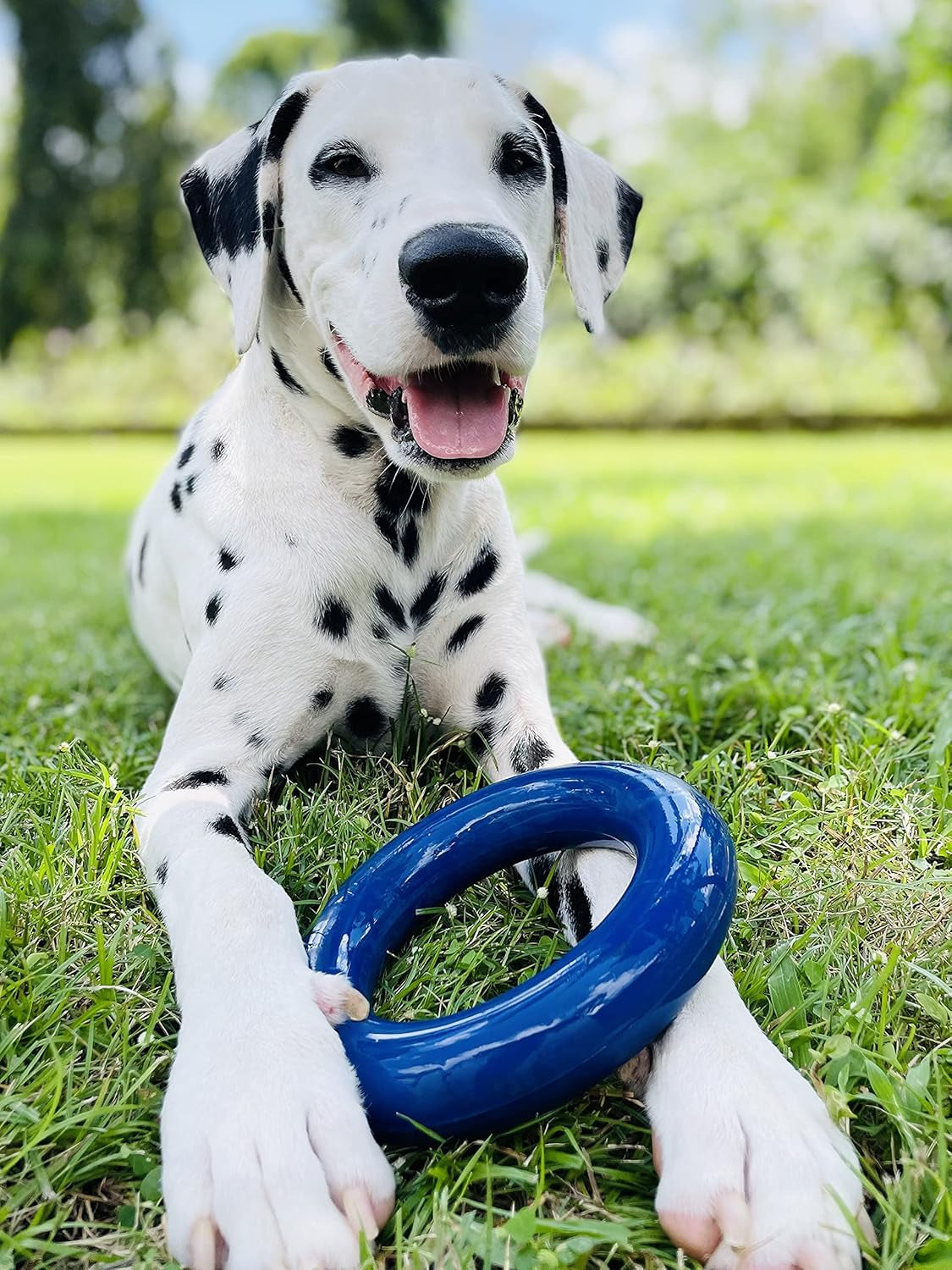 Superchewy Tough Dog Ring Toy | Lifetime Replacement | Strong Natural Rubber | Chew Toys for Aggressive Chewers | Durable Tug Play | Strong Dog Ring Toy | Large Breed Tested
