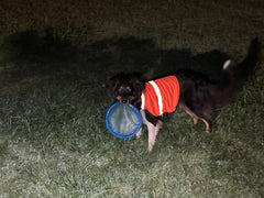 Emily B. – Cross-Country Hiker