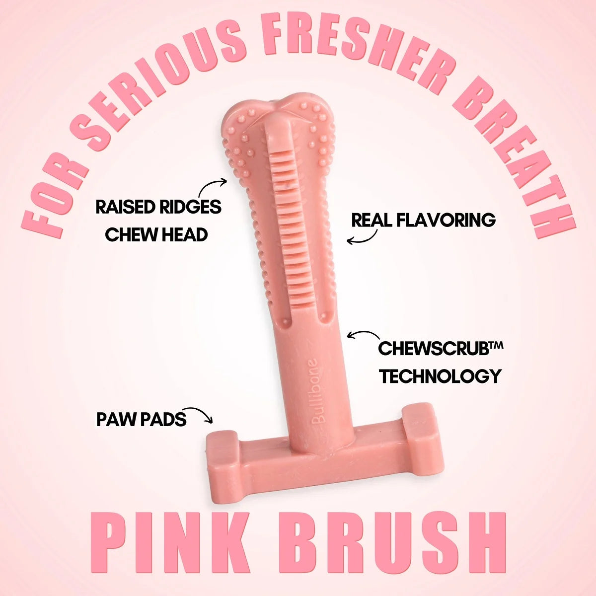 Peppermint Superbrush Chew Dog Toy, Single Pack