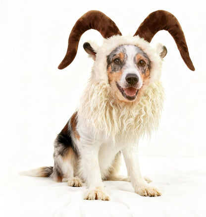 Funny Pet Reindeer Moose Costumes for Dog, Cute Furry Pet Wig for Halloween Christmas, Pet Clothing Accessories