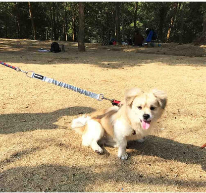 Dog Leash Extender, Shock Absorber Bungee Leash Attachment, Durable Nylon Dog Tie Out Extension with Stainless Steel Swivel Clips