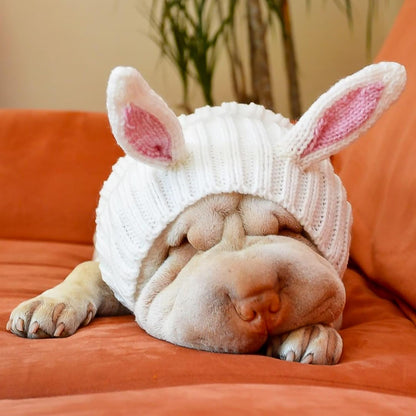 Bunny Costume - Knit Easter Dog Snood Ear Wrap for Pets, Warm Neck Cover for Halloween and Winter (Medium)