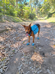 Lily A. – Hiking Club Leader