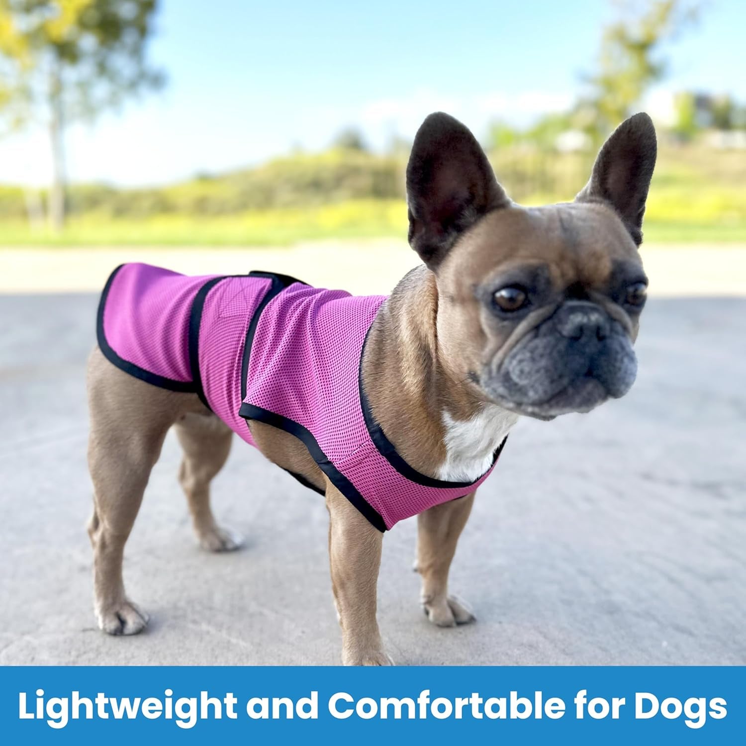 Dog Cooling Vest – Lightweight Evaporative Shirt with UV Protection for Small, Medium, and Large Dogs – Breathable Soft Fabric for Hot Weather (XS, Rose Pink)