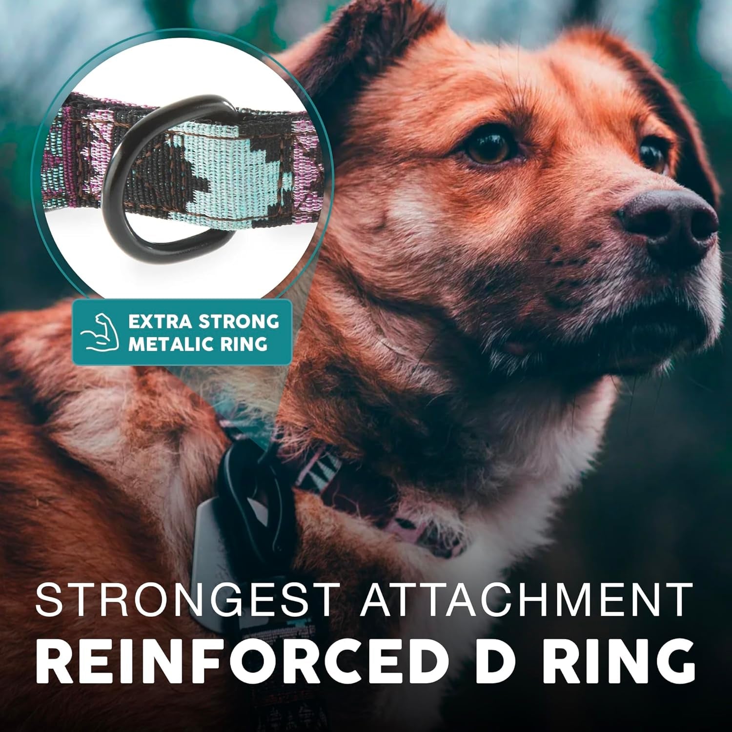 Embark Adventure Dog Collar – Stylish & Durable Nylon Dog Collars for Small Dogs, Comfortable Pet Collar, Small Dog Collars for Male & Female Dogs with Strong Buckles. Adjustable Small Dog Collars