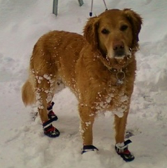 Sarah M. – Active Lifestyle Enthusiast