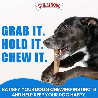 Peppermint Superbrush Chew Dog Toy, Single Pack