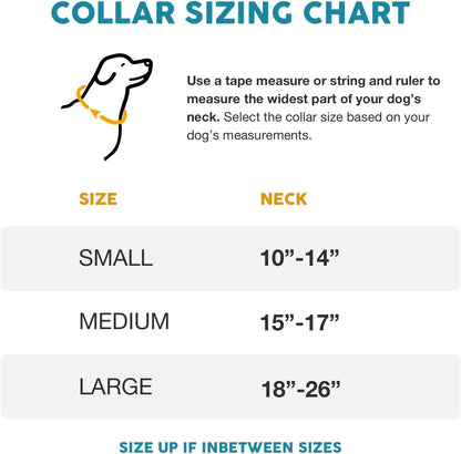 Embark Adventure Dog Collar – Stylish & Durable Nylon Dog Collars for Small Dogs, Comfortable Pet Collar, Small Dog Collars for Male & Female Dogs with Strong Buckles. Adjustable Small Dog Collars