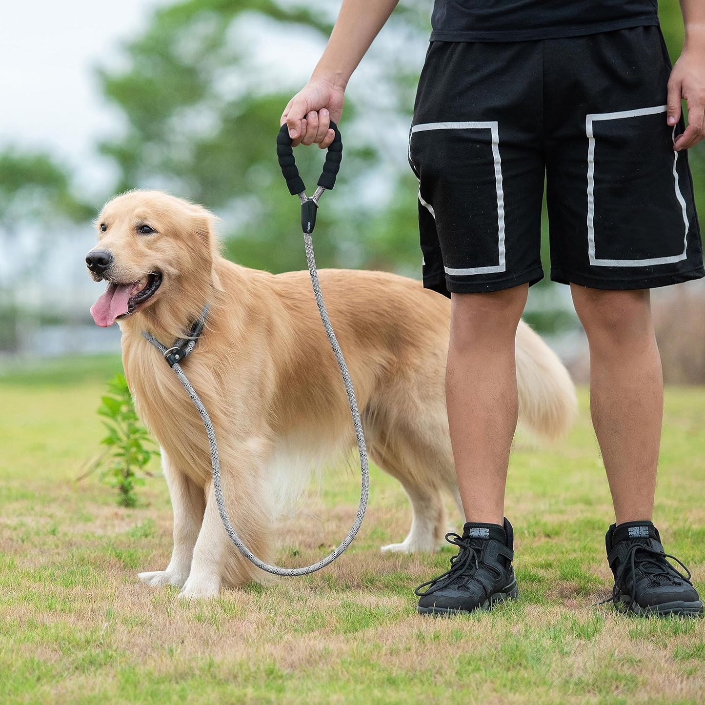 Durable Slip Lead Dog Leash with Padded Handle and Highly Reflective Threads, No Pull Dog Training Leash, (1/2" X 6 FT, Grey)