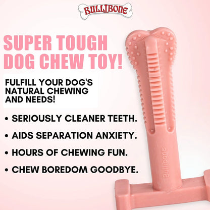 Peppermint Superbrush Chew Dog Toy, Single Pack