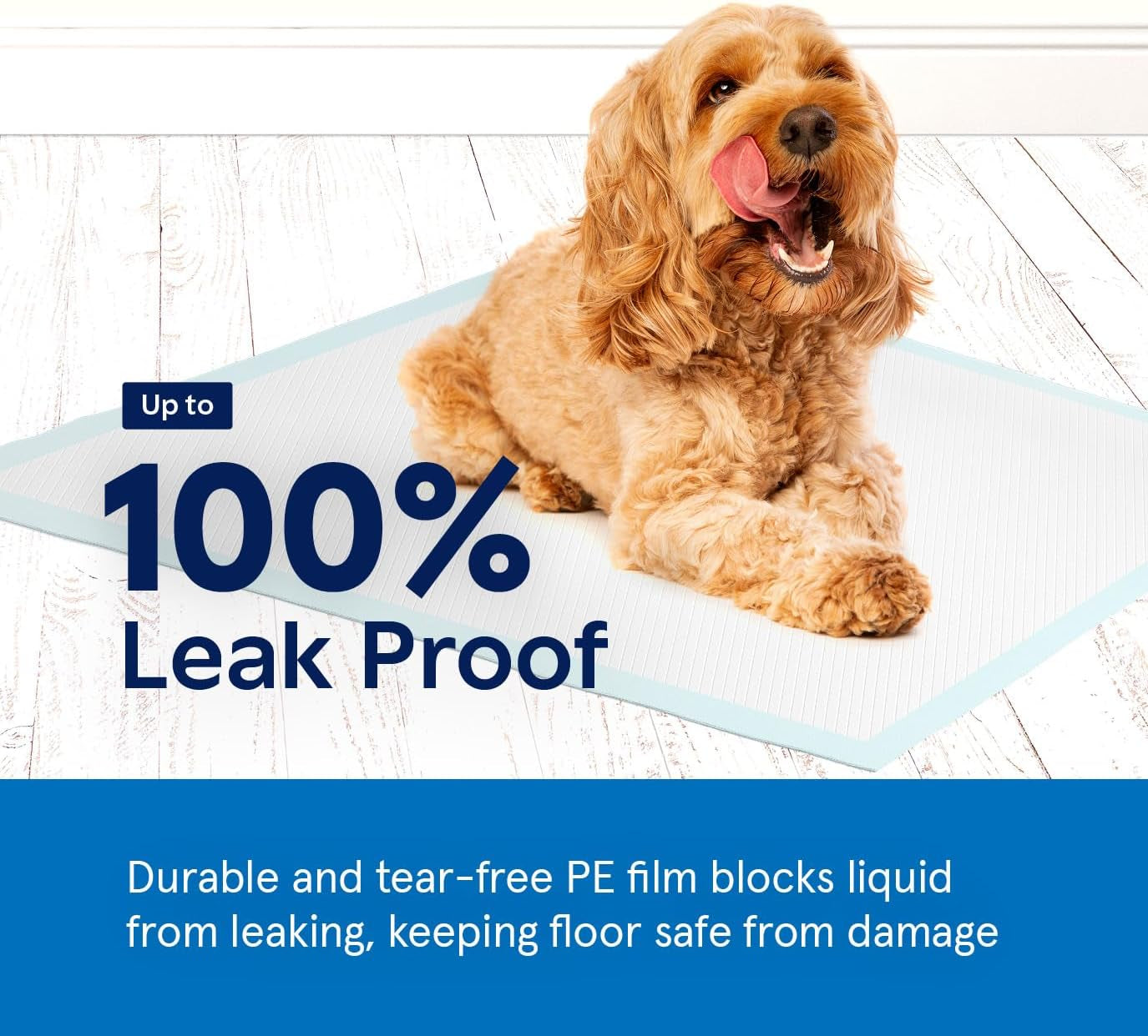 Pee Pads for Dog & Puppy Training [100-COUNT] Pet Potty Pads for Small Dogs 22" X 22" Leak-Proof Design - Quick-Dry Surface - Heavy Duty Absorbent Disposable Wee Pad - Dog & Puppy Products Bulk Pack