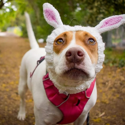 Bunny Costume - Knit Easter Dog Snood Ear Wrap for Pets, Warm Neck Cover for Halloween and Winter (Medium)