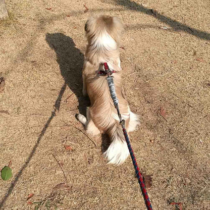 Dog Leash Extender, Shock Absorber Bungee Leash Attachment, Durable Nylon Dog Tie Out Extension with Stainless Steel Swivel Clips