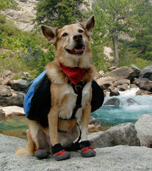 Olivia H. – Weekend Trail Explorer