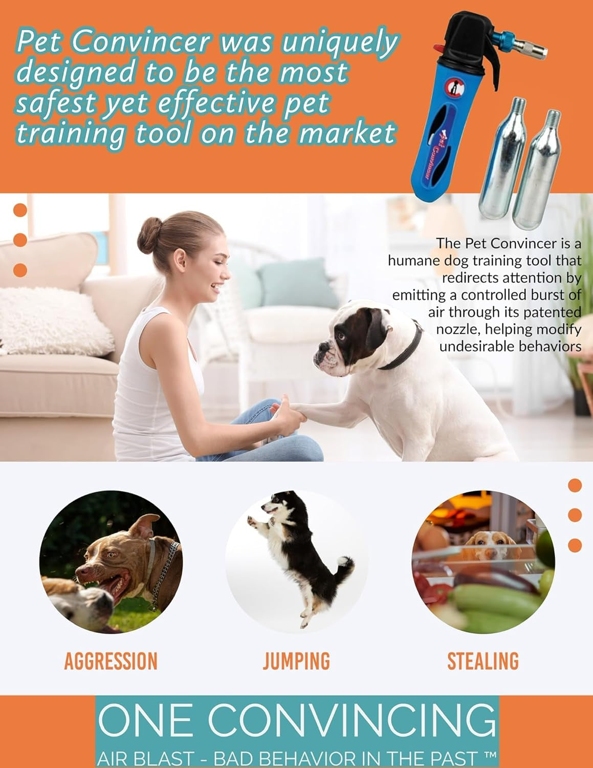 - Dog Training Device - Air