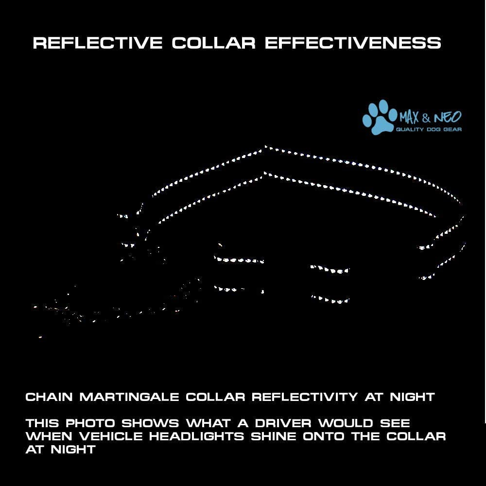 Stainless Steel Chain Martingale Collar - We Donate a Collar to a Dog Rescue for Every Collar Sold (Small, Orange)